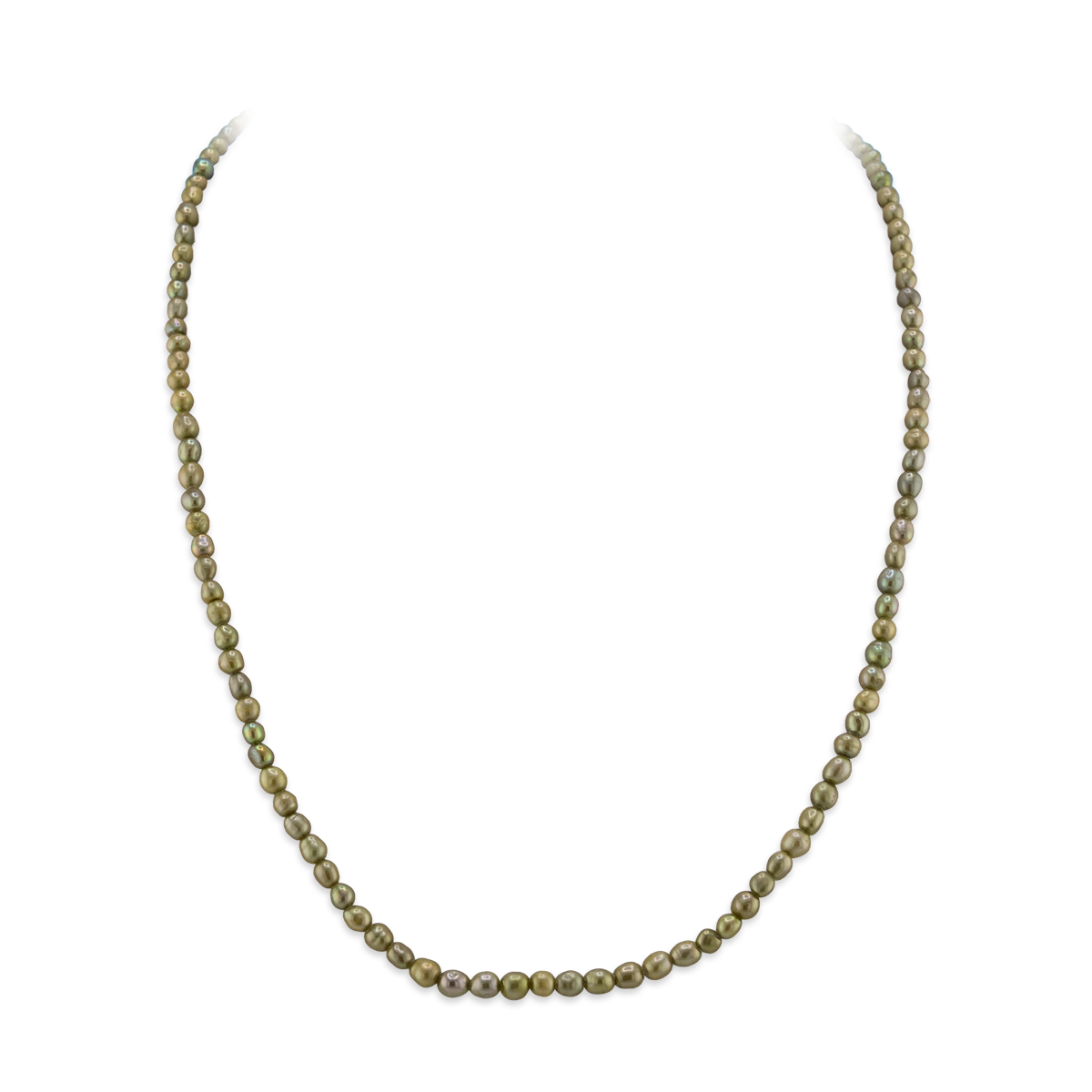 Pearl necklace on a white background